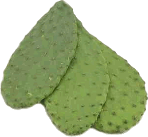 Nopales