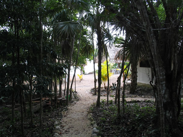Forest garden of Laguna Azul