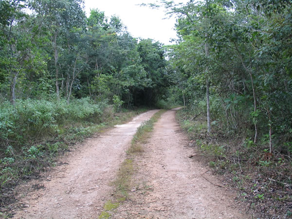 Side Road to Laguna Azul