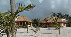 Mayan beach garden